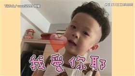 ▲小黃瓜學會說「我愛你」。（圖／TikTok／vava52099 授權）