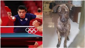 莊智淵領軍，在男子桌球團體賽中順利晉級8強。（組合圖、翻攝自莊智淵臉書、路透社／達志影像）