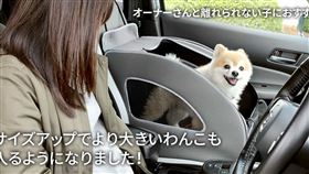 ▲Honda推出Paw寵物專用配件 （圖／翻攝自Honda官網）