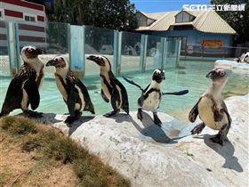 Fun暑假到頑皮世界