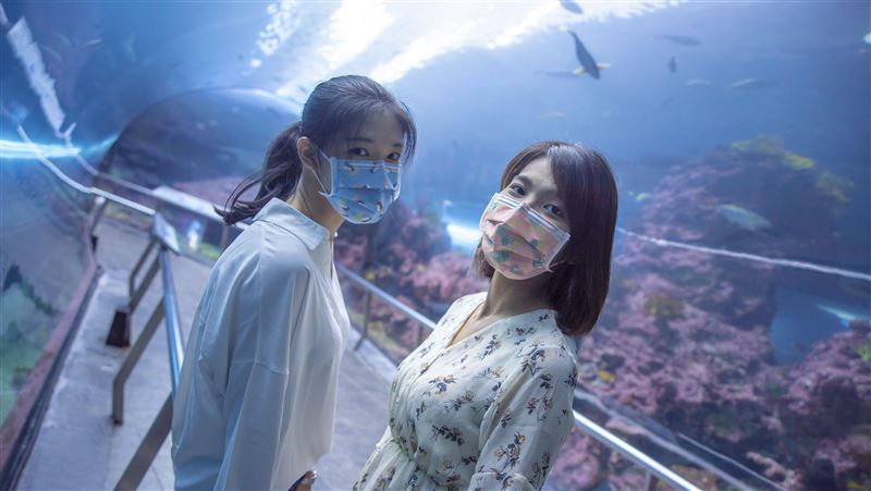 三款超可愛海洋生物口罩一次擁有