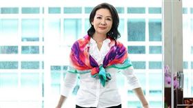 PGC董事長、祺翔（上海）私募股權基金管理人厲馥華。（圖／CTWANT）