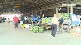 大雨淹水傷菜　市場走一圈「菜變貴」