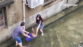 奇觀!嘉縣農會淹水魚跑了! 總幹事捲袖急撈