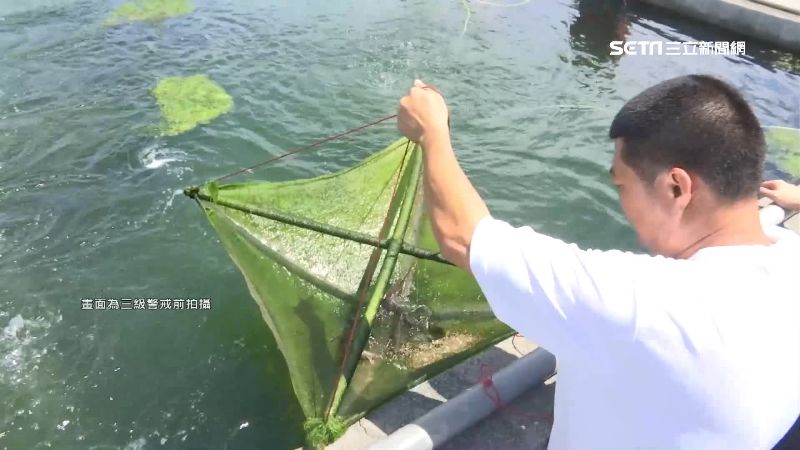 自煮防疫更安心！力大生技獲有機驗證