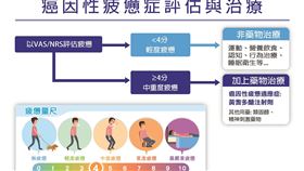 癌因性疲憊症評估與治療。（圖／台灣癌症安寧緩和醫學會提供）
