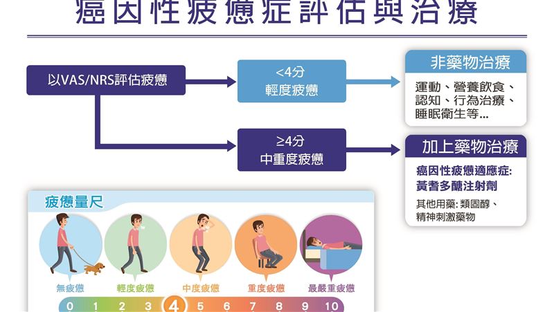 9成癌友有癌因性疲憊　4招可改善