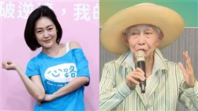 徐熙娣（小S）/金美齡（圖／記者邱榮吉攝影、民進黨臉書）