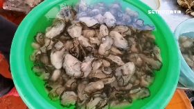 文 漂流物阻蚵1200