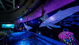 ▲屏東海生館2021全新暑期活動「璀璨之海」。（圖／海景世界提供）