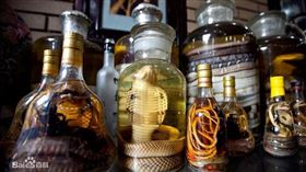 ▲蛇酒。（示意圖／翻攝自百度百科）