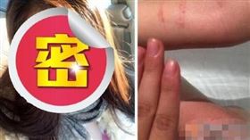 應媛（圖／翻攝自百度百科）