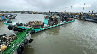 怕蚵仔被颱風沖走　蚵農冒險出海搶收