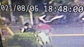 現金取餐沒零錢…幫派熊貓狂譙三字經嗆：混哪裡的？（圖／翻攝自爆料公社）