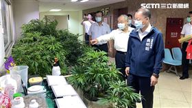 大麻株,海軍士官,退伍職訓,高雄,翻攝畫面
