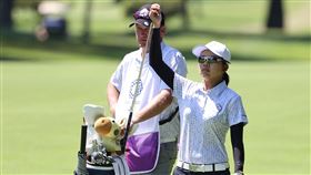 台灣好手徐薇淩。（圖／體育署提供）