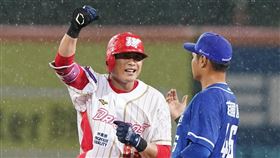 董秉軒敲出生涯首安。（圖／味全龍提供）