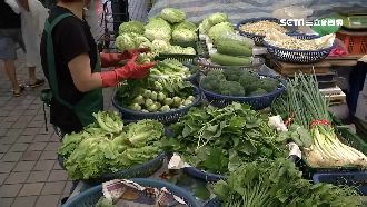 水淹農田菜價漲　民怨葉菜類又爛又貴