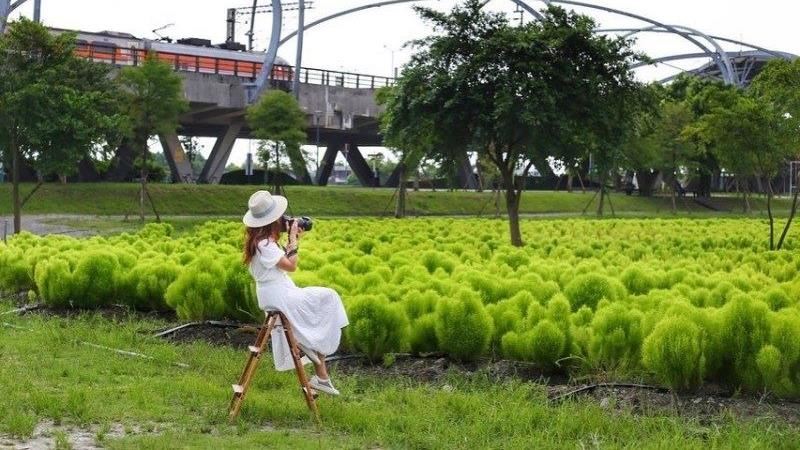 微解封踏青好去處！宜蘭冬山波波草襲