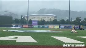 天母球場因雨延賽。（圖／記者王怡翔攝影)