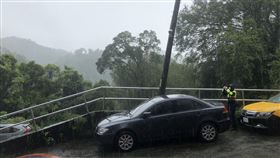 新北市，新店，路樹，倒榻，