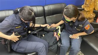 小貓闖車陣瑟縮車底　暖警救援收編