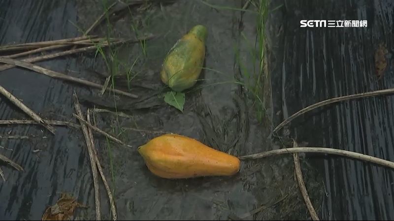 豪雨釀農損1.8億　這5個縣市最慘