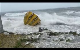 渡邊直美,南瓜（圖／翻攝自@33554_4441推特）