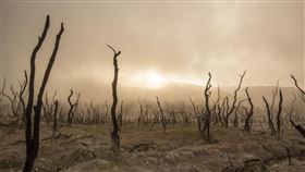 乾旱　飢荒　大旱（示意圖／翻攝自Pixabay）