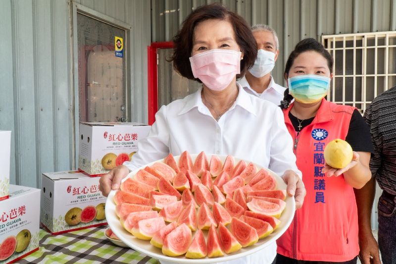 宜蘭縣長林姿妙（前）向國人推銷正宗「吃軟不吃硬」的紅心芭樂。。（宜蘭縣政府提供）