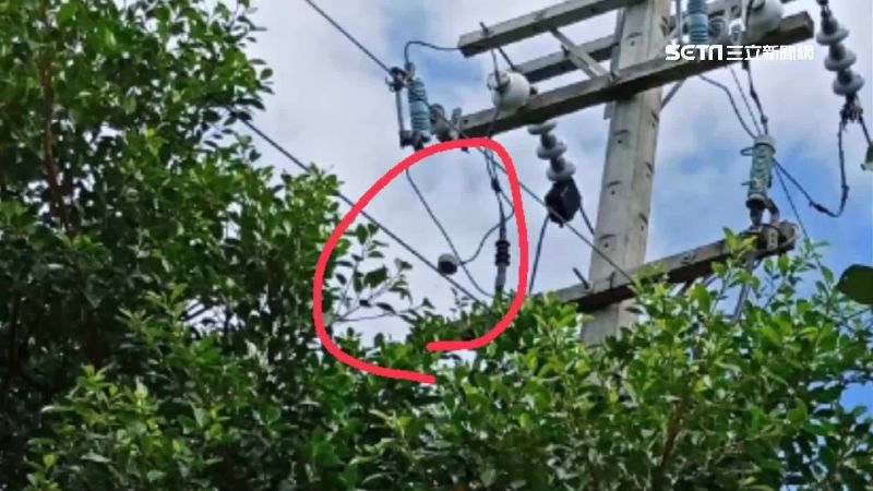 爆炸聲響後突大停電　禍首竟是小松鼠