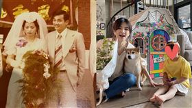 陳嘉樺 Ella臉書