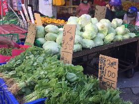 高麗菜零售價上漲