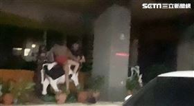 高雄,牛乳大王,乳牛,打架,前金區,快打部隊
