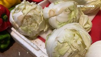 等到內用菜價飆新高　餐廳無奈應變