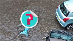 英國連日豪雨，道路積水，卻驚見一條人魚在車陣中游泳。（圖／翻攝自Gavin Millar臉書）