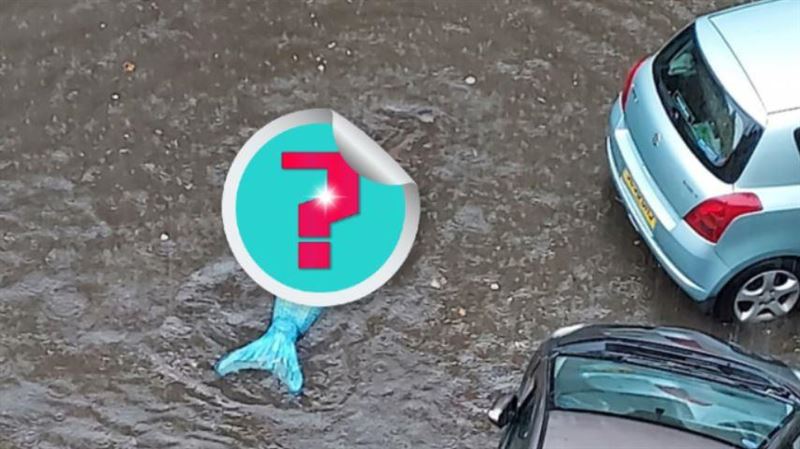馬路淹水竟冒出「人魚」！畫面曝網傻