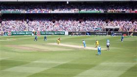 板球照片／維基百科