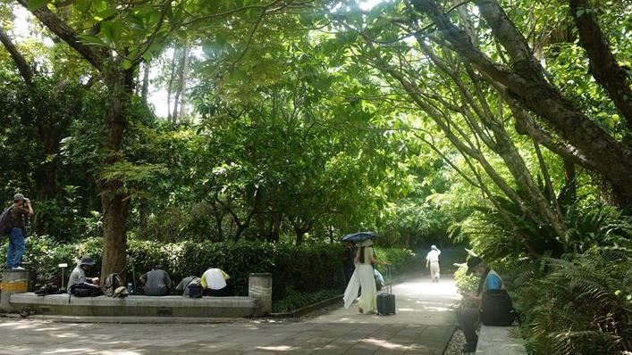 台北市也有淨土　細懸浮微粒少21％