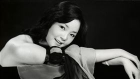 鄧麗君文教基金會提供