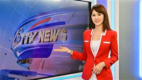 劉宜函產後復工。（圖／台視提供）