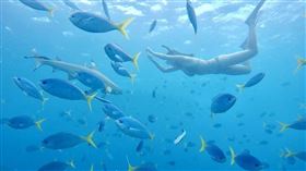 帛琉疫苗旅遊團。（圖／KKday提供）