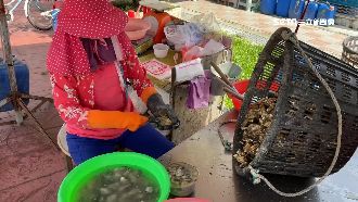 大雨、颱風侵襲　嘉義蚵仔災損8千萬