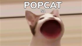 圖／翻攝自popcat