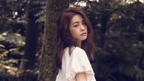 張語噥/上城娛樂提供