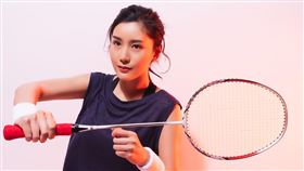 PRO360羽毛球  PRO360達人網提供