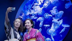 圖／台灣旅行趣