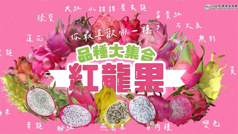 火龍果不只有紅色　還有「彩色」近親