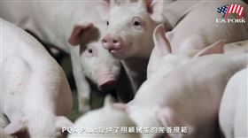 美國豬,PQA Plus/截自影片(業配勿用)
