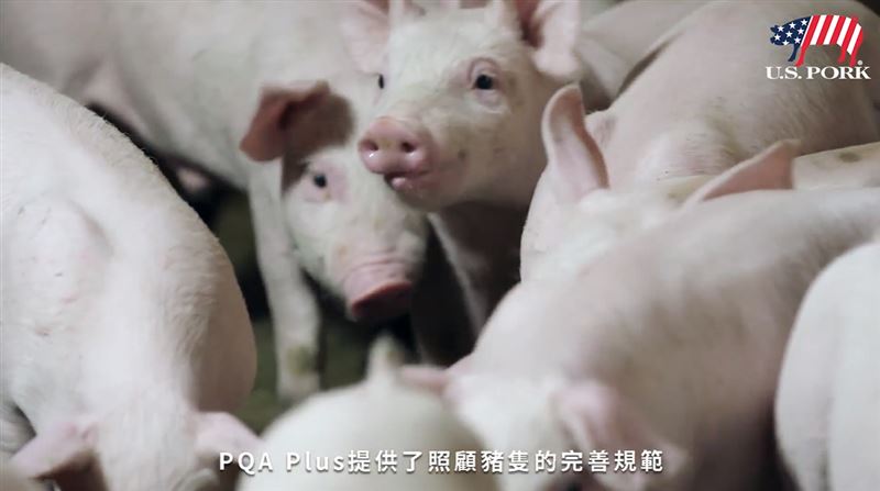 美國豬農知多少？你吃的豬肉安全嗎？